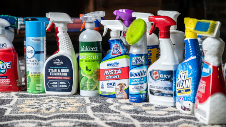 best carpet cleaners