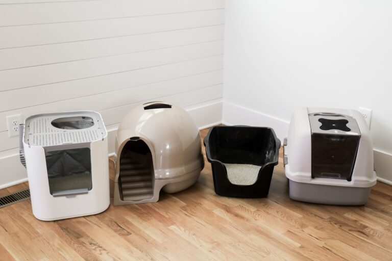 best cat litter box