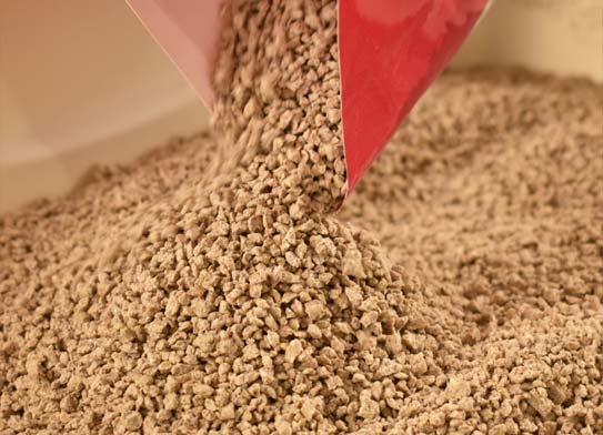 best clumping cat litter