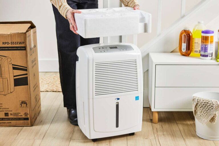 best dehumidifier for basement