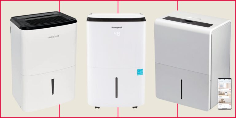 best dehumidifier for house