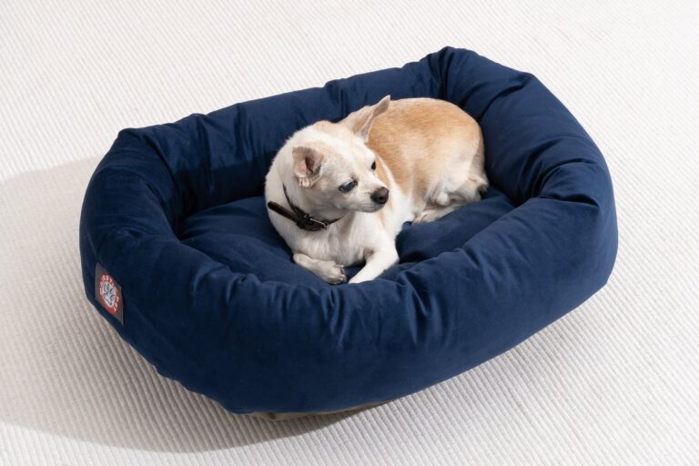 best dog beds