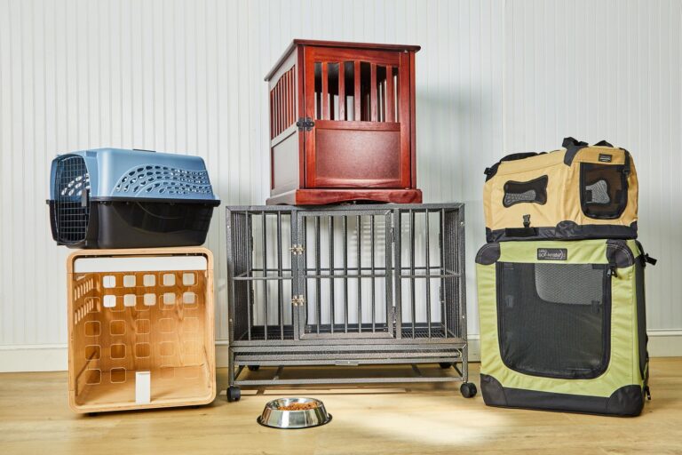 best dog crates