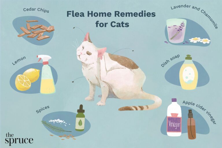 best flea control for cats