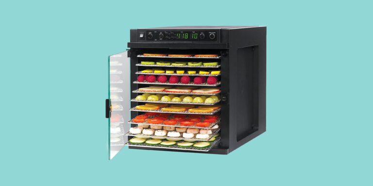 best food dehydrator