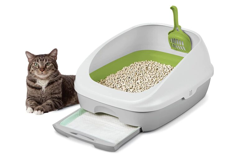 best kitty litter box