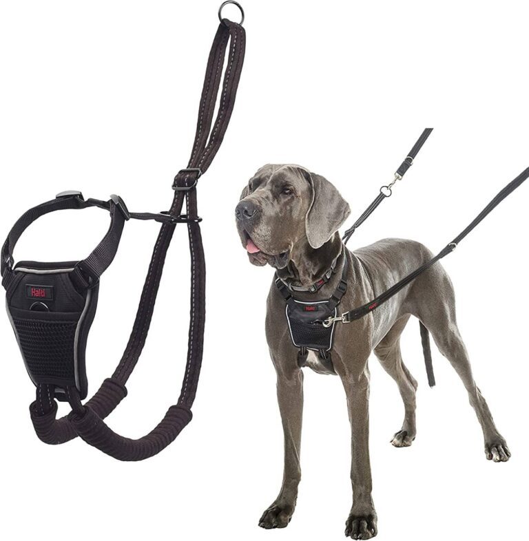 best no pull dog harness