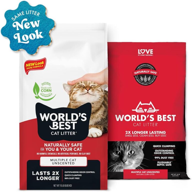 the best cat litter